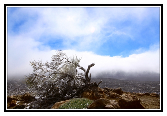 IMG_3053 site.jpg
